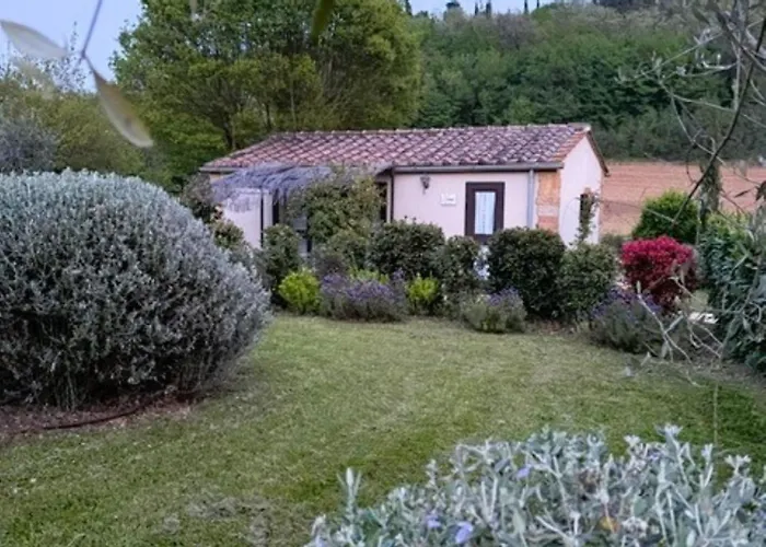 Podere La Paolina