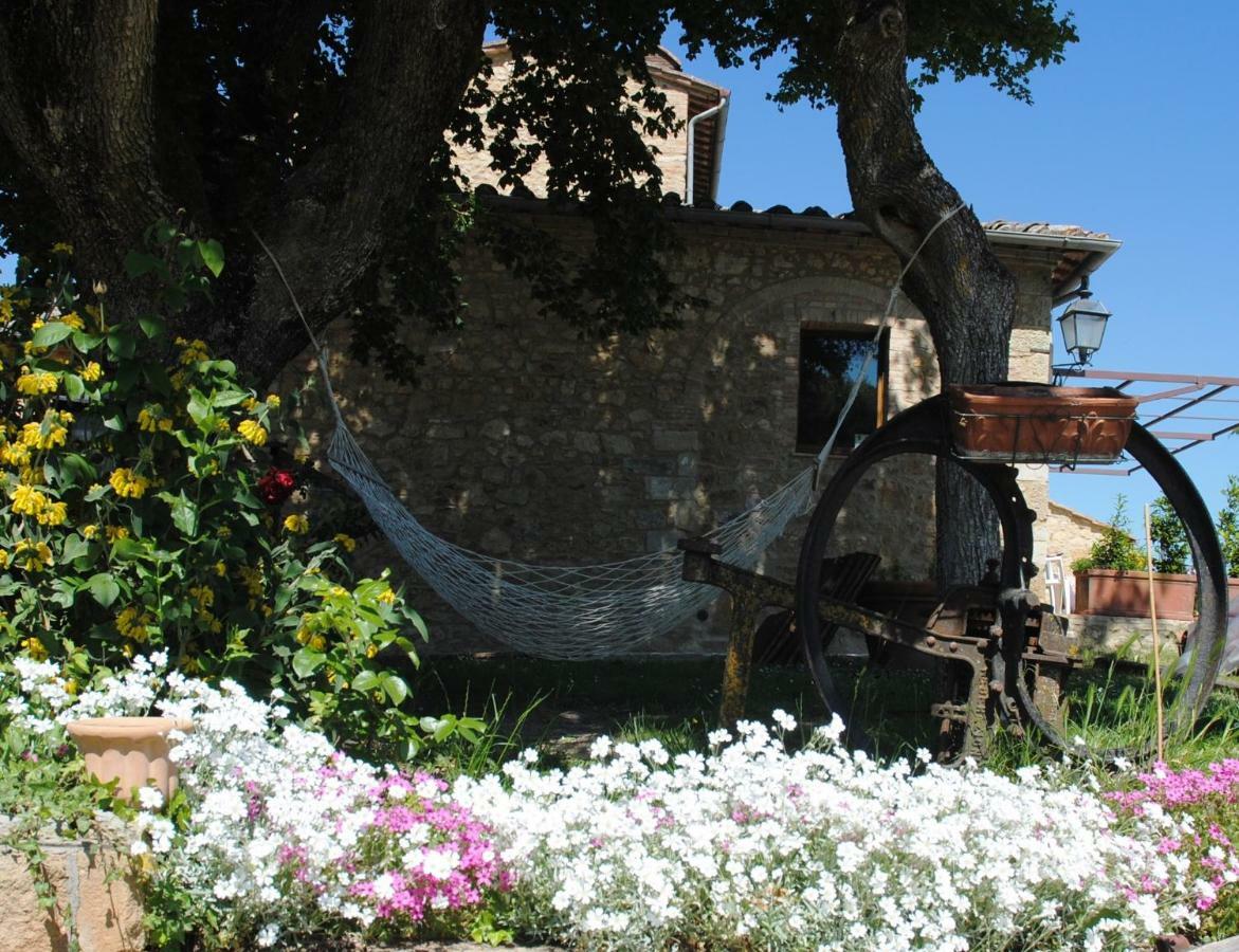 Podere La Paolina Séjour à la ferme Montefollonico